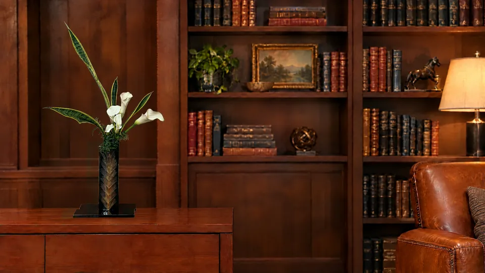 The Study 4